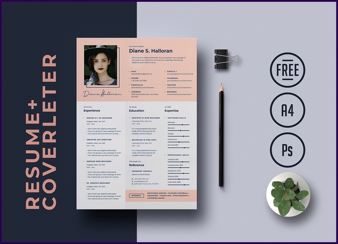 Microsoft Word Resume Templates Free Download Resume Resume 