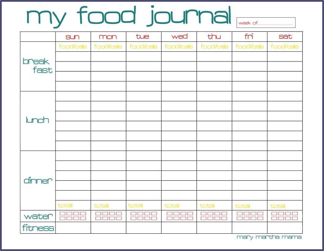 Fitness Log Template Free Templates Resume Template Collections 