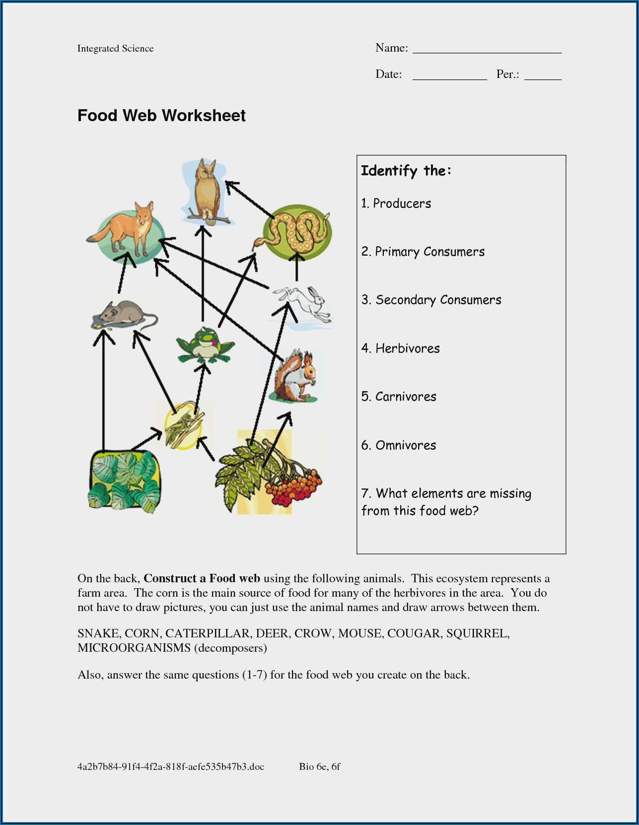 Food Chain Worksheet Year 2