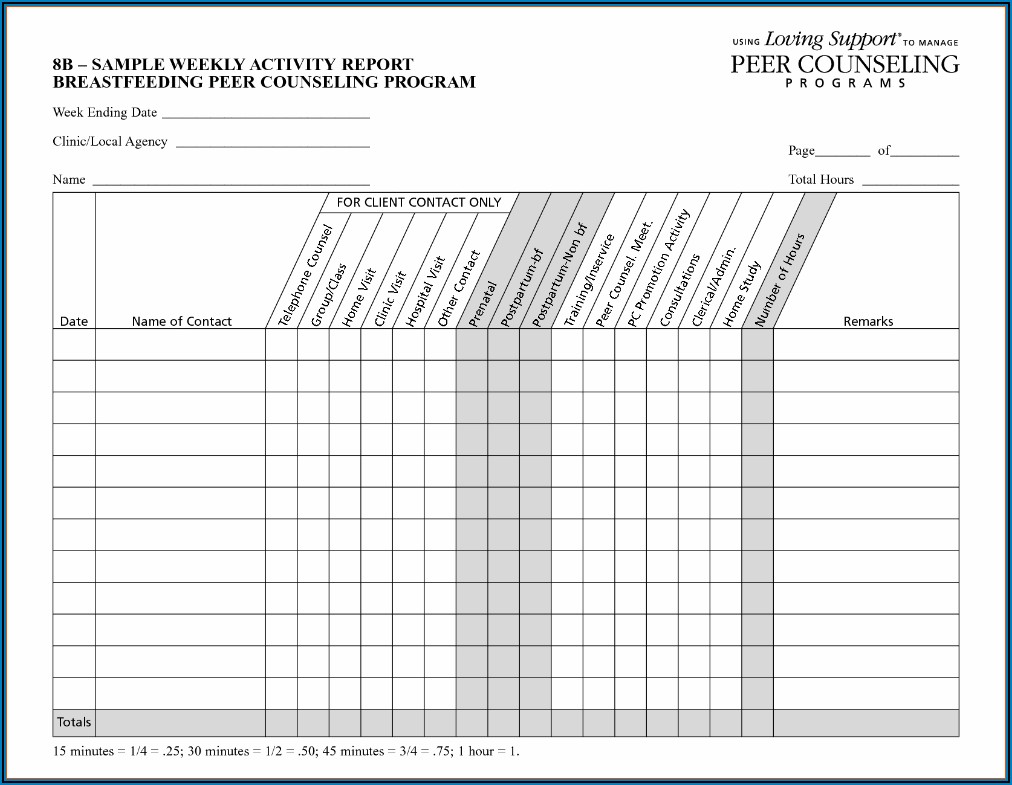 Daily Sales Activity Report Format Templates Resume Template 